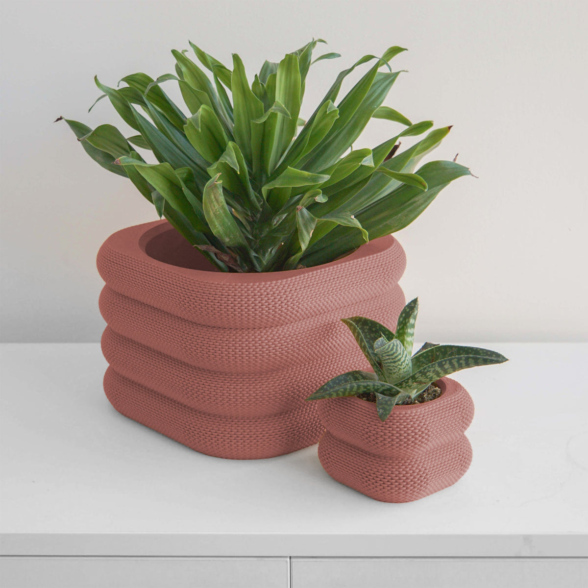 Yew Planter