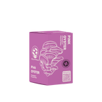 Pink Oyster Mushroom Kit