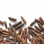 Dune Pepper