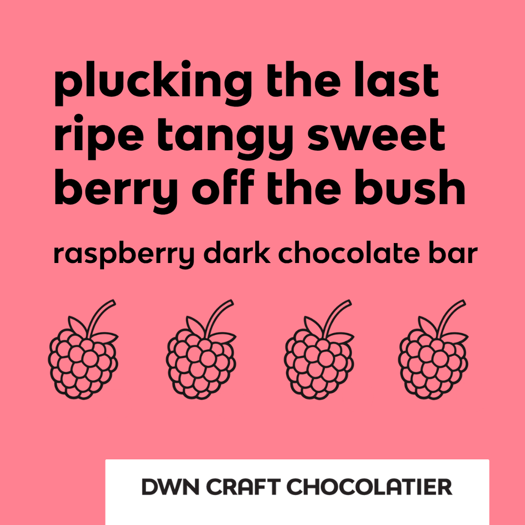 dark chocolate raspberry bar