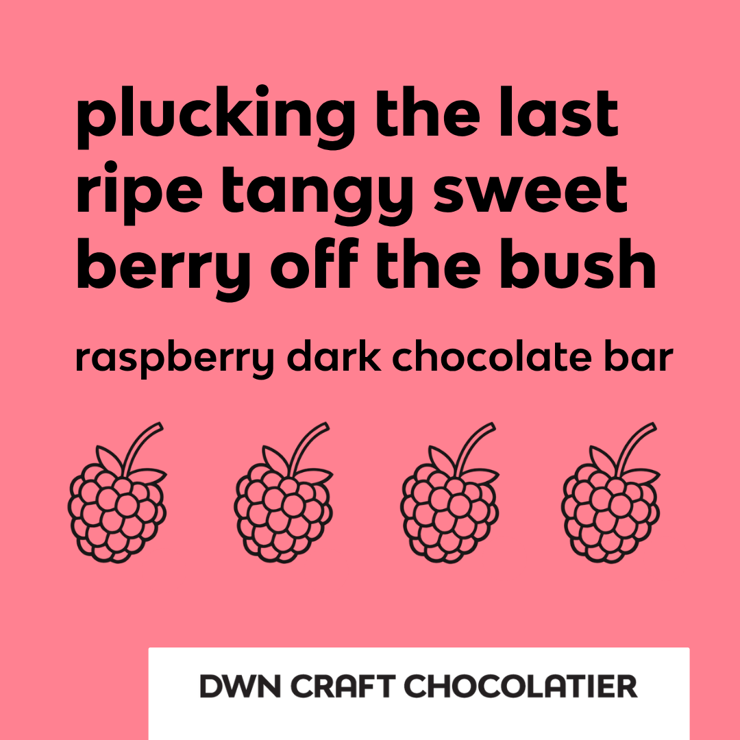 dark chocolate raspberry bar