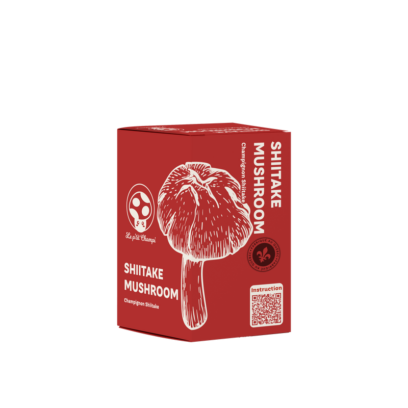 Shiitake Mushroom Kit