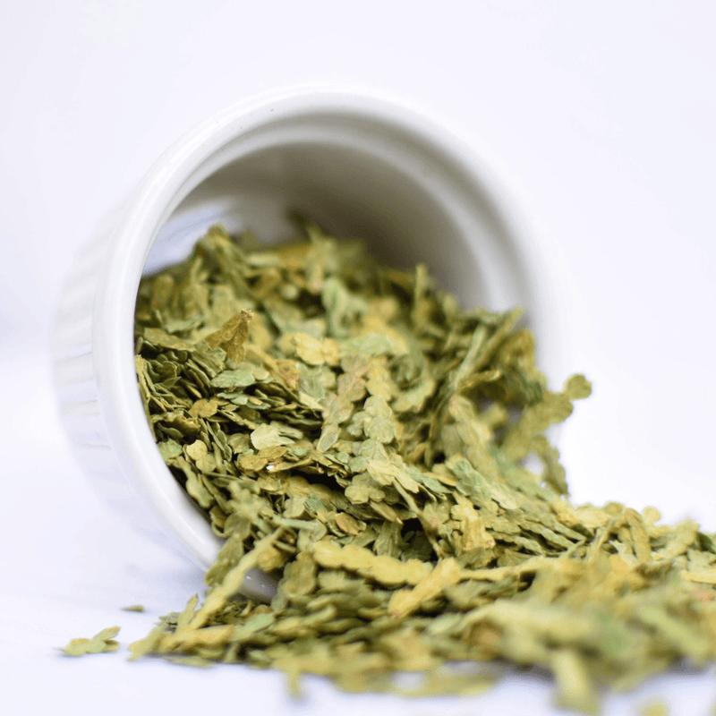Cedar (Thuja)