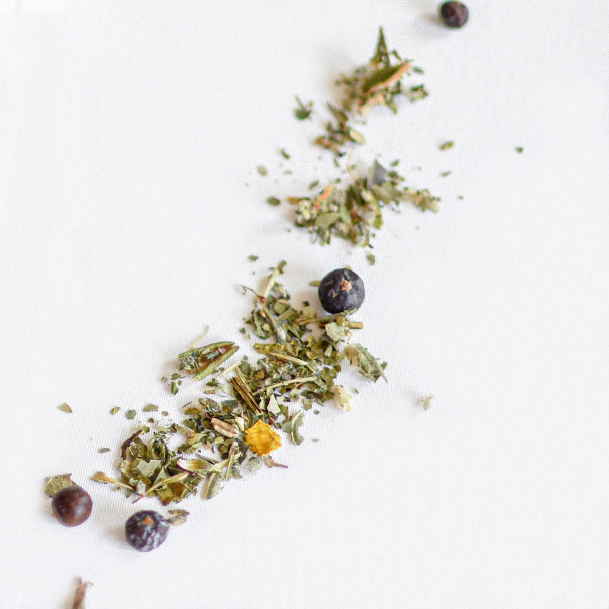Loose Herbal Tea — Sweet Gale & Echinacea